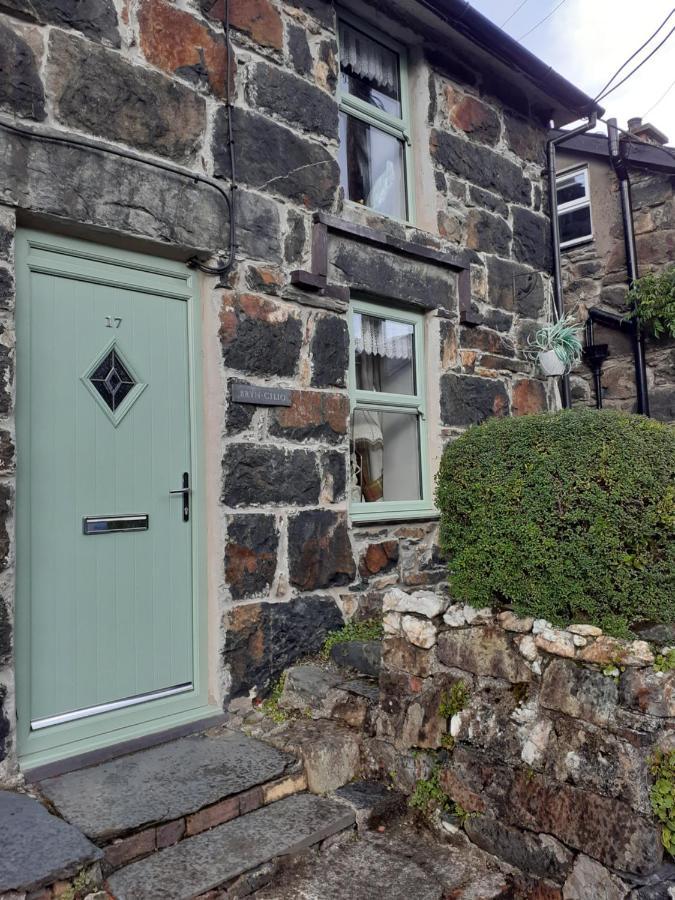 Villa Bryn Cilio à Beddgelert Extérieur photo
